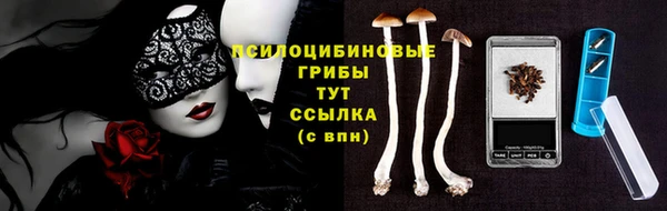 стафф Алексеевка