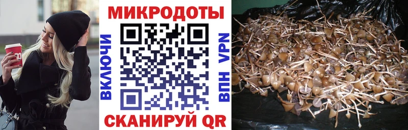 что такое наркотик  Наволоки  kraken маркетплейс  Галлюциногенные грибы прущие грибы 