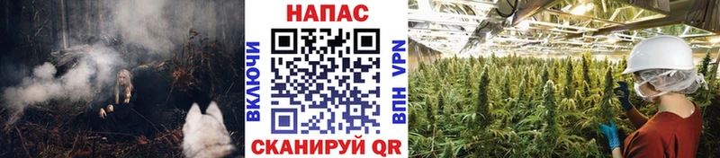 купить цена Наволоки Конопля THC 21%